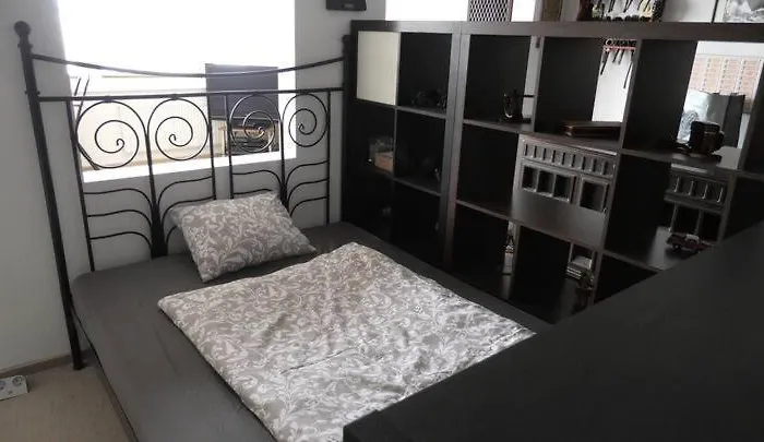 Apartament With A View Of The Center Of *